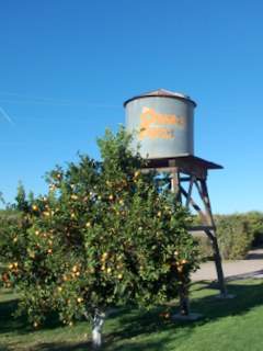 Orange Patch water tower